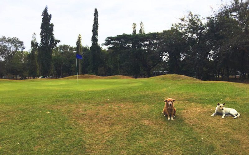 Suppasit Prasong Golf Course