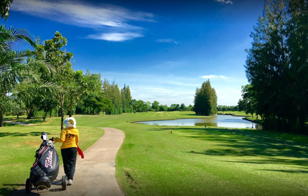 The Pine Golf and Lodge